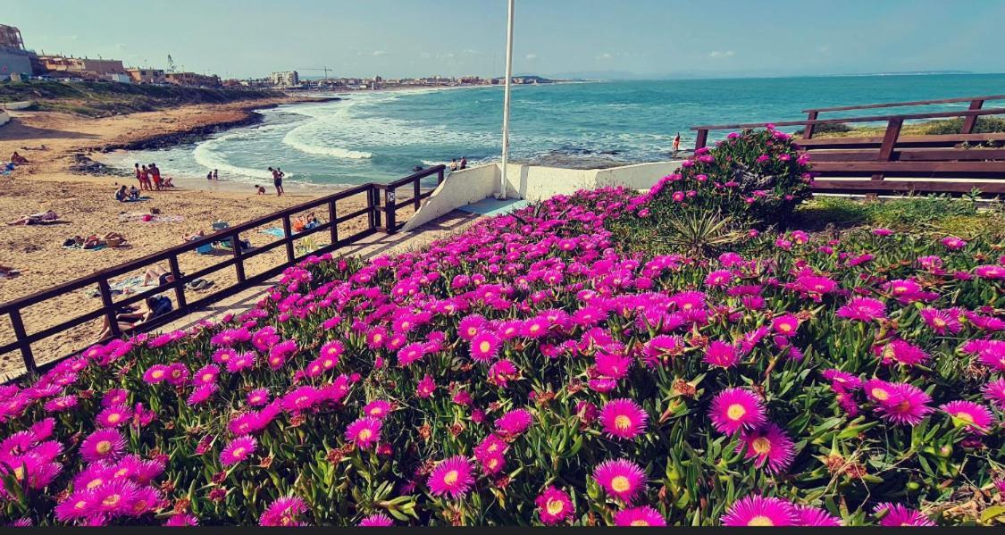 Apartment La Mata,